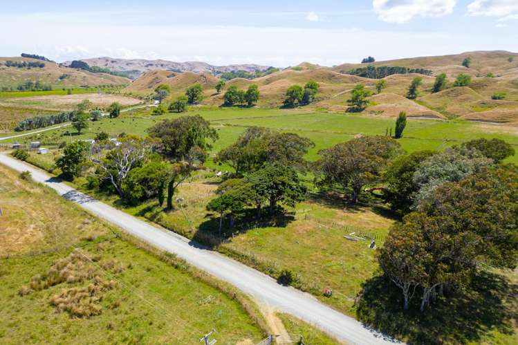 603 Te Akau South Road Te Akau_9