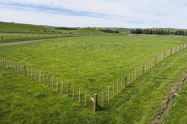 Lot 1 Taihape Road Sherenden_14