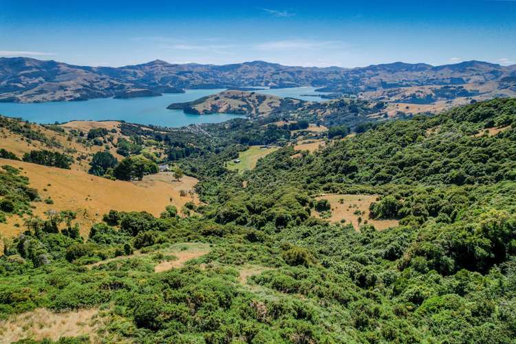 141 Stony Bay Road Akaroa_7