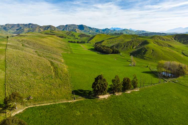 Marama Road Seddon_22