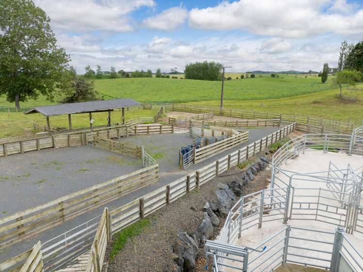 196 Waimanu Road Pukeatua_8