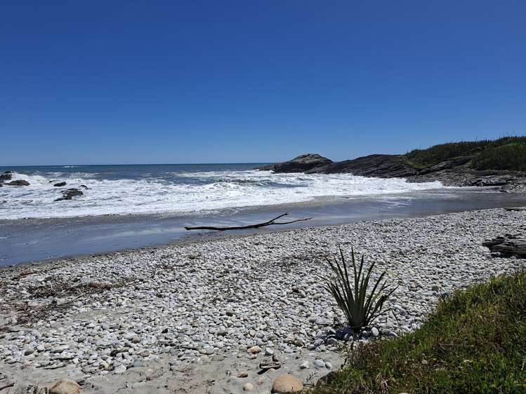 7370 State Highway 6 Charleston_37