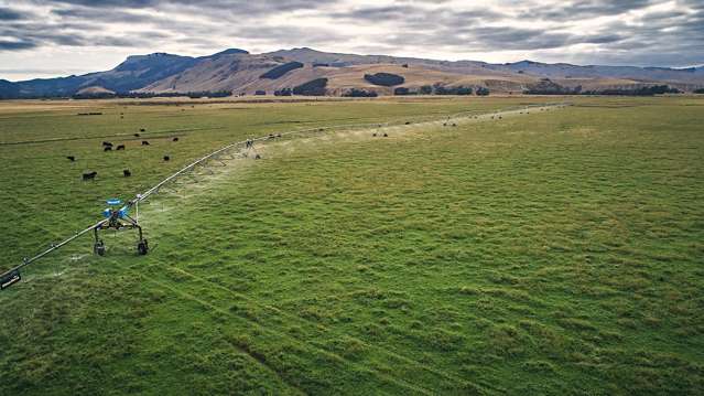 Irrigated beef finishing property