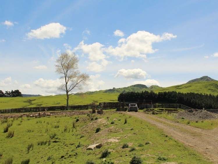 858 Oporae Road Weber_31