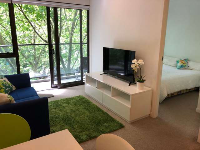Tree View Fully Furnished Central City Apartment