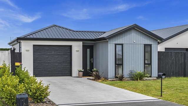36 Mccormick Lane Rolleston_1