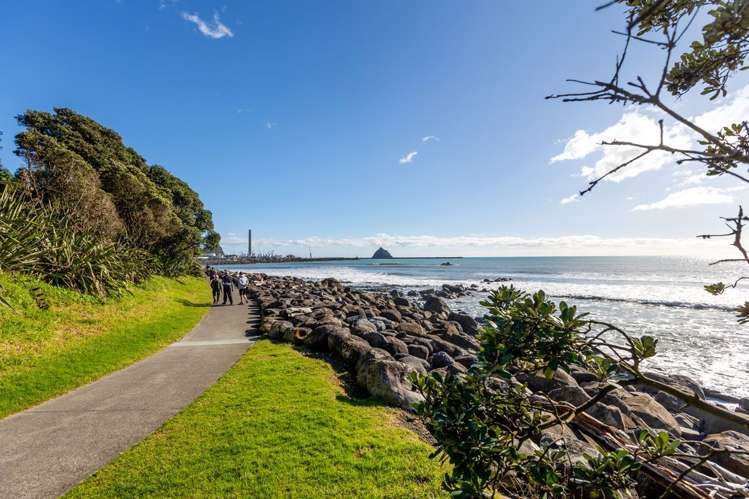 347 & 349 Aubyn Street Moturoa_11