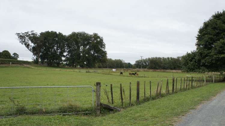 241 Saint Leger Road Kihikihi_5