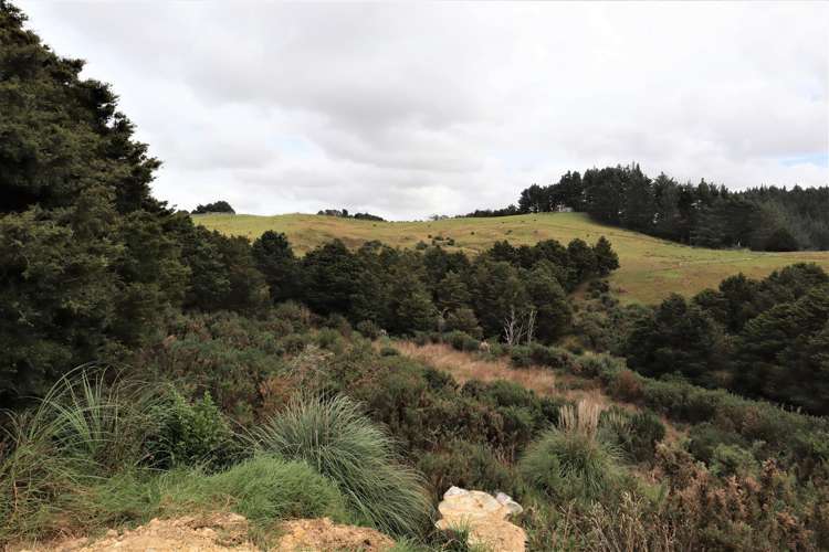 2568d Paparoa-Oakleigh Road Paparoa_18