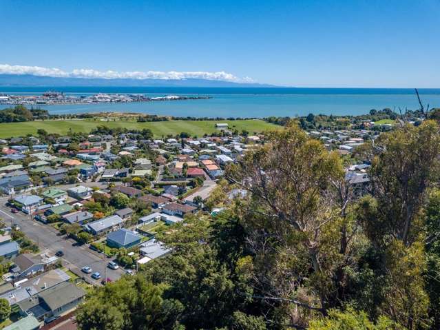 101 Cambria Street The Wood_3