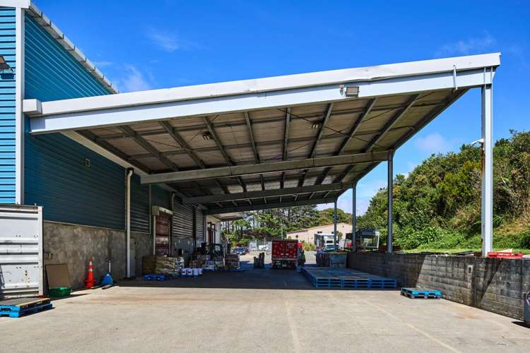 9-11 Matiu Close Elsdon_8