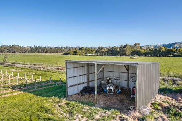 687 Dillons Point Road Blenheim_2