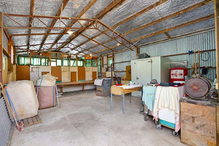 46 Hikuai School Road Hikuai_17