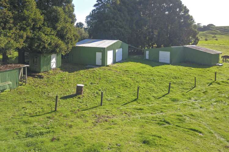 83a Odey Road Whakamarama_5