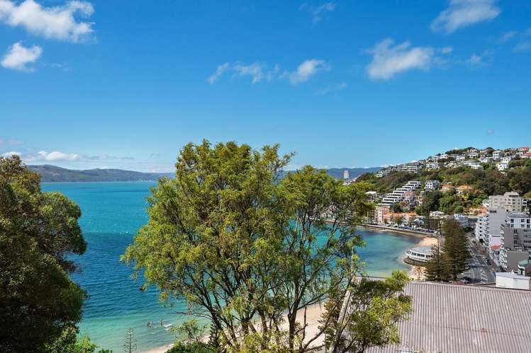 1 Oriental Terrace Oriental Bay_12