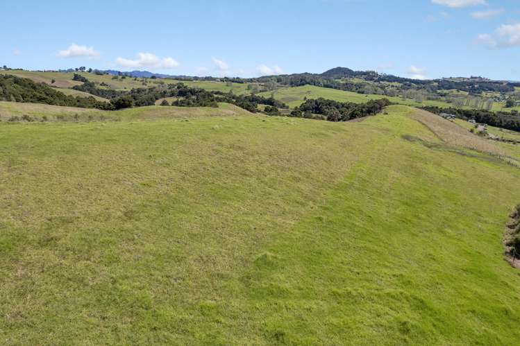 108 Monk Road Mangapai and Surrounds_33