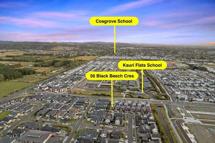 56 Black Beech Crescent Takanini_18