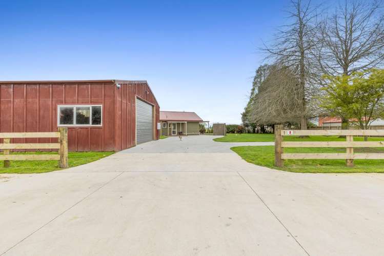 8 Coates Lane Te Poi_21