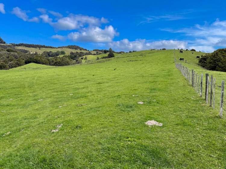 583 Lusk Road Ruawai_1