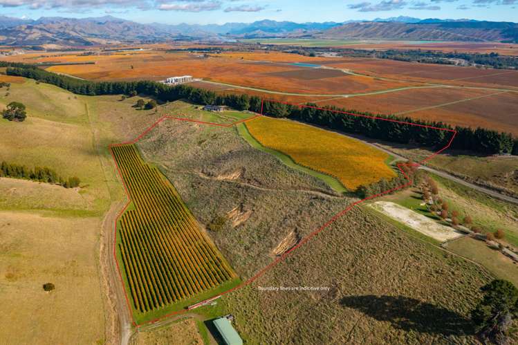 488 Delta Lake Heights Renwick_7