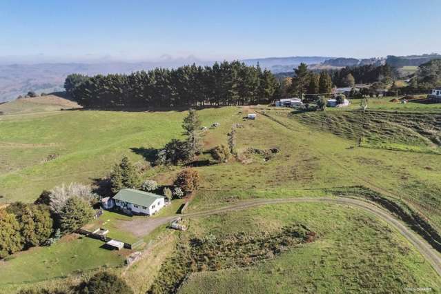 354 Kauri Road Onewhero_3