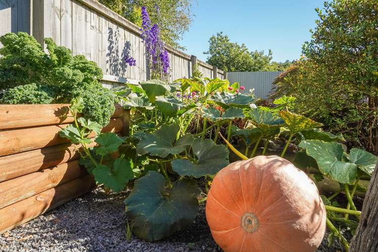 7 Robinson Street Cheviot_24