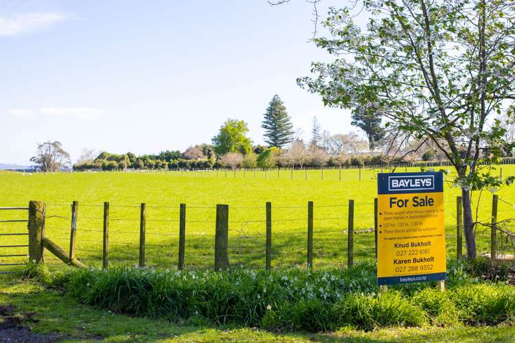 Western Line Brunswick_10