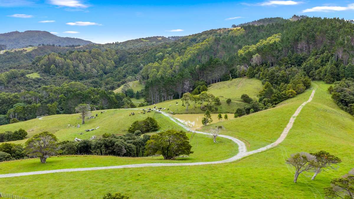 59 Ashton Road & Birdsall Road, Whangateau_4