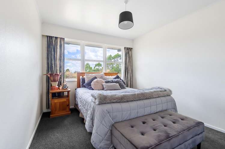391 Otake Road Kinloch_9