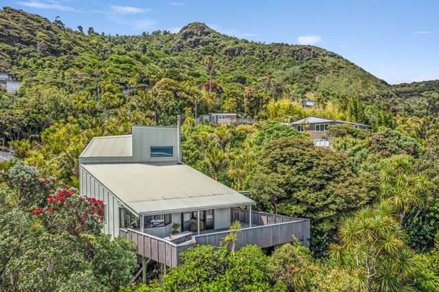 117 Seaview Road Piha_2