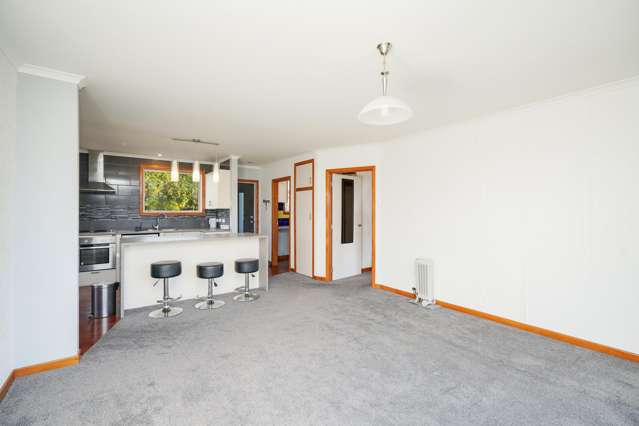 48 Bainfield Road Waikiwi_4