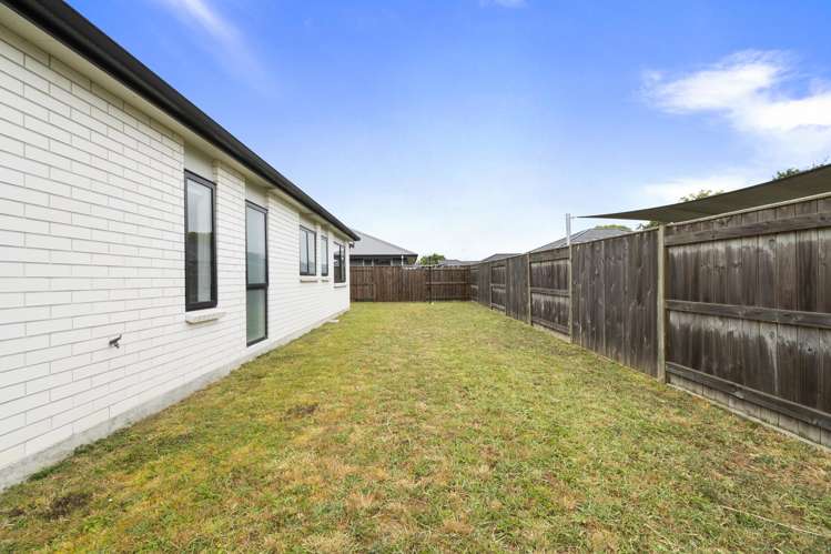 61 Wilson Street Bulls_16