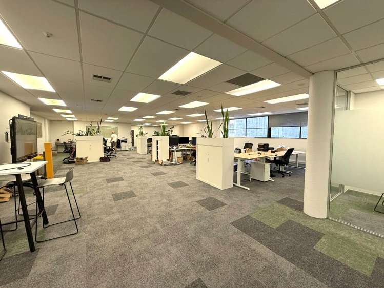 5 Wilkins Street Freemans Bay_3