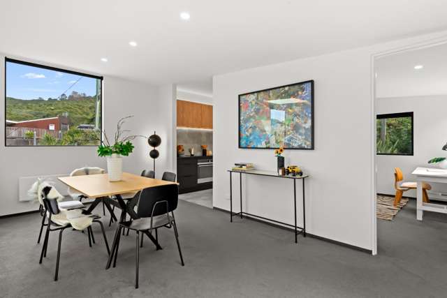 49 Mt Pleasant Road Aro Valley_2