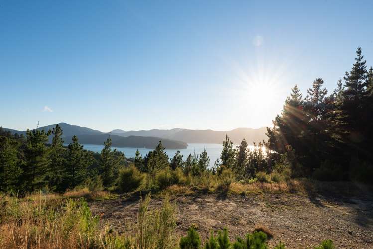 1892 Port Underwood Road Port Underwood_11