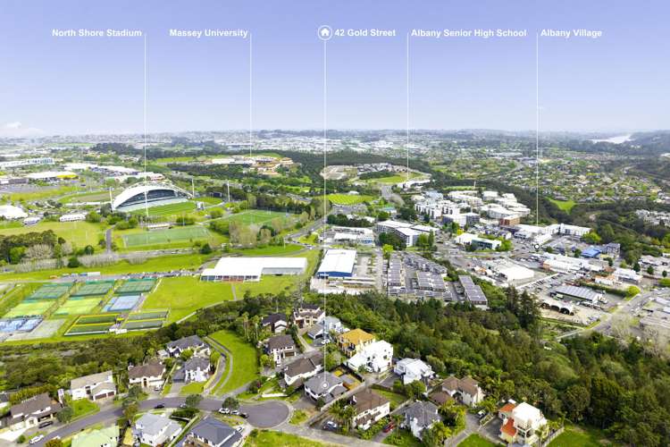 42 Gold Street Albany Heights_22