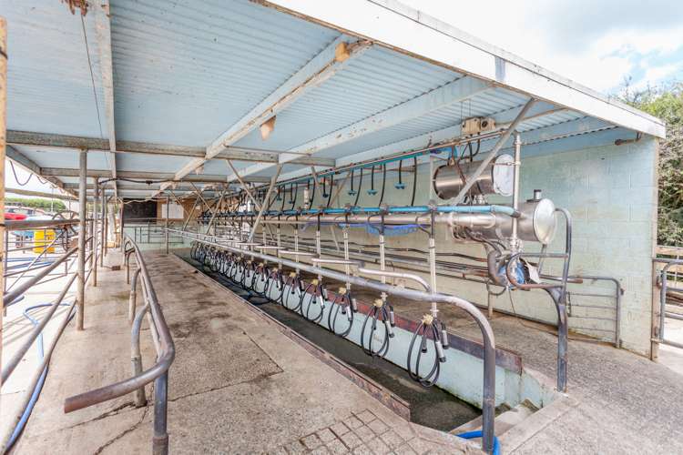 83 Waikuku Road Morrinsville_6