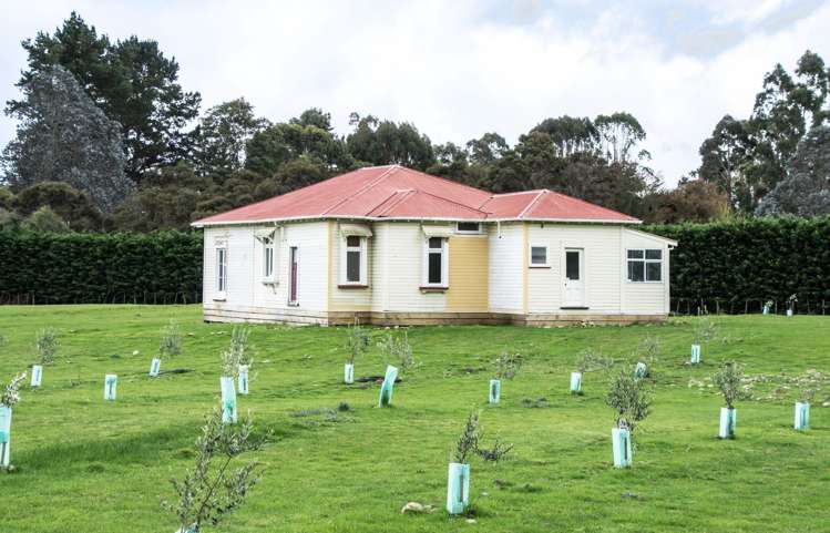 836b State Highway 2 Opaki_4