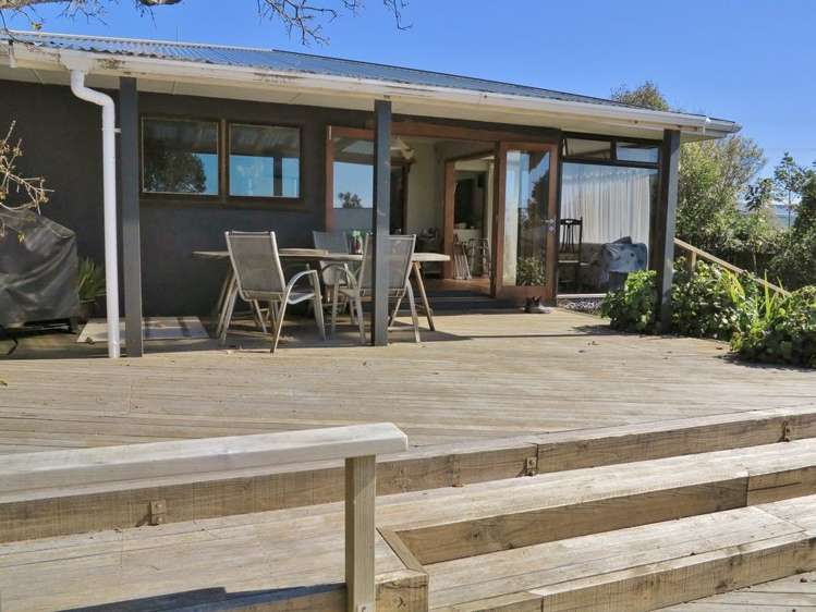 1174 Collingwood-Puponga Kahurangi National Park_12