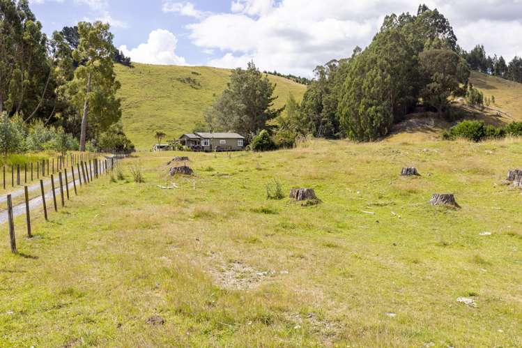 312 Whangamata Road Kinloch_29