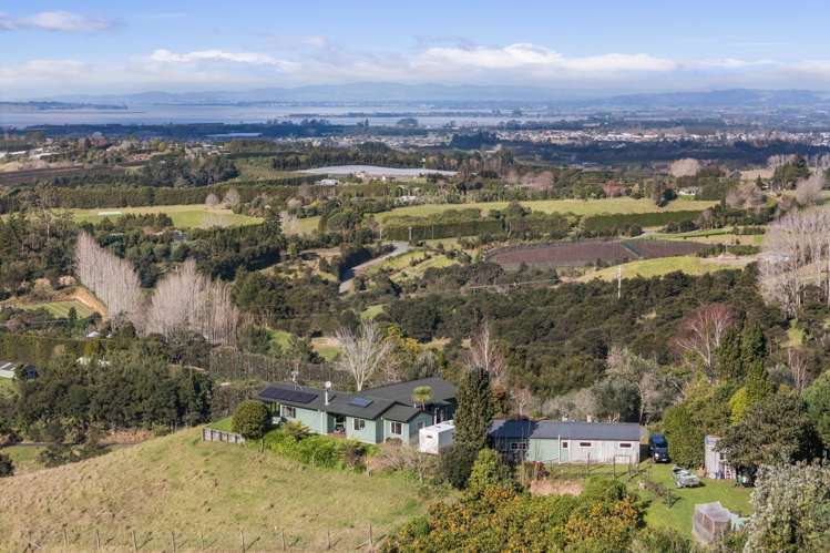313A Woodland Road Katikati_21