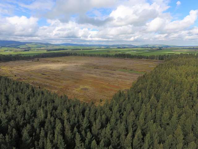 Winton district former peat factory