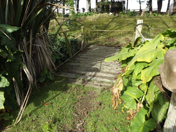 39 Page Street Morrinsville_13