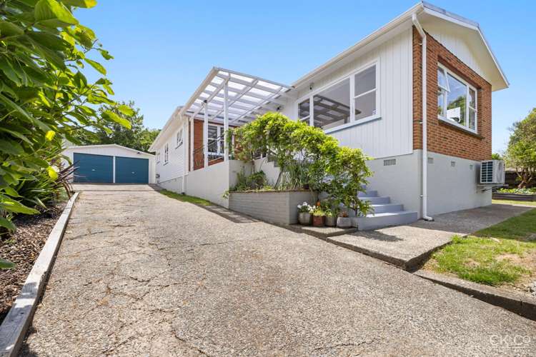 13 Kahikatea Lane Brown Owl_24