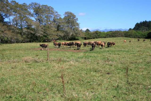 185 Bristol Road Pareora_4