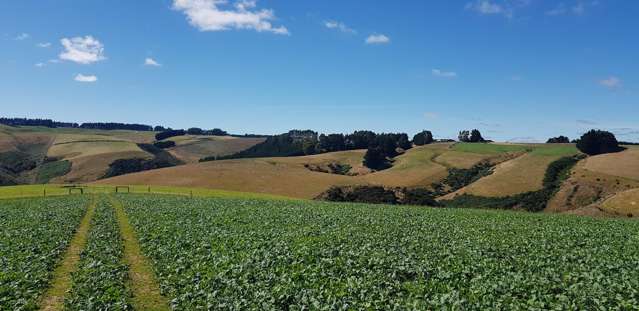 890 Mount Stuart Road Balclutha_2