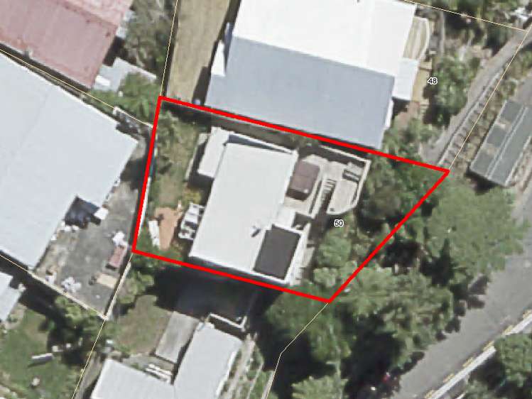 50 Mortimer Terrace Aro Valley_13