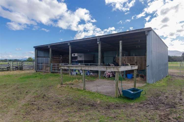 217 Norfolk Road Carterton_16