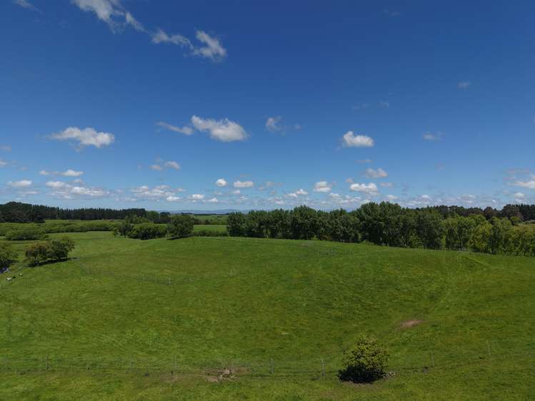 117 Te Rakehou Road Feilding_18