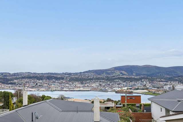 61 Scobie Road Waverley_3